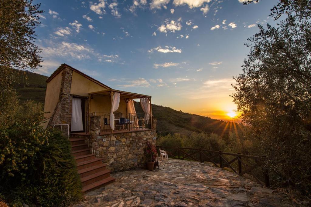 Agriturismo Campo Dei Lupi Vicopisano Exterior photo