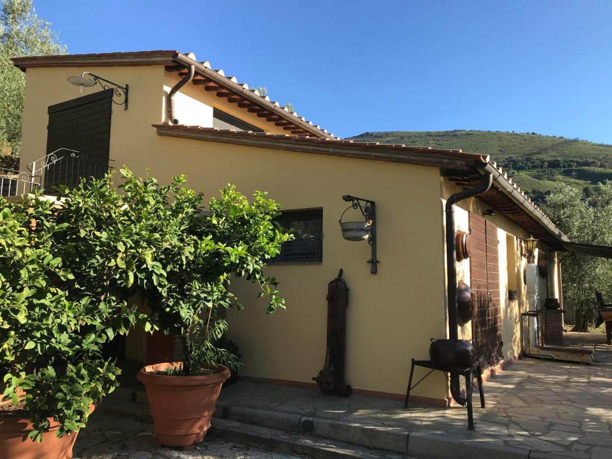Agriturismo Campo Dei Lupi Vicopisano Exterior photo