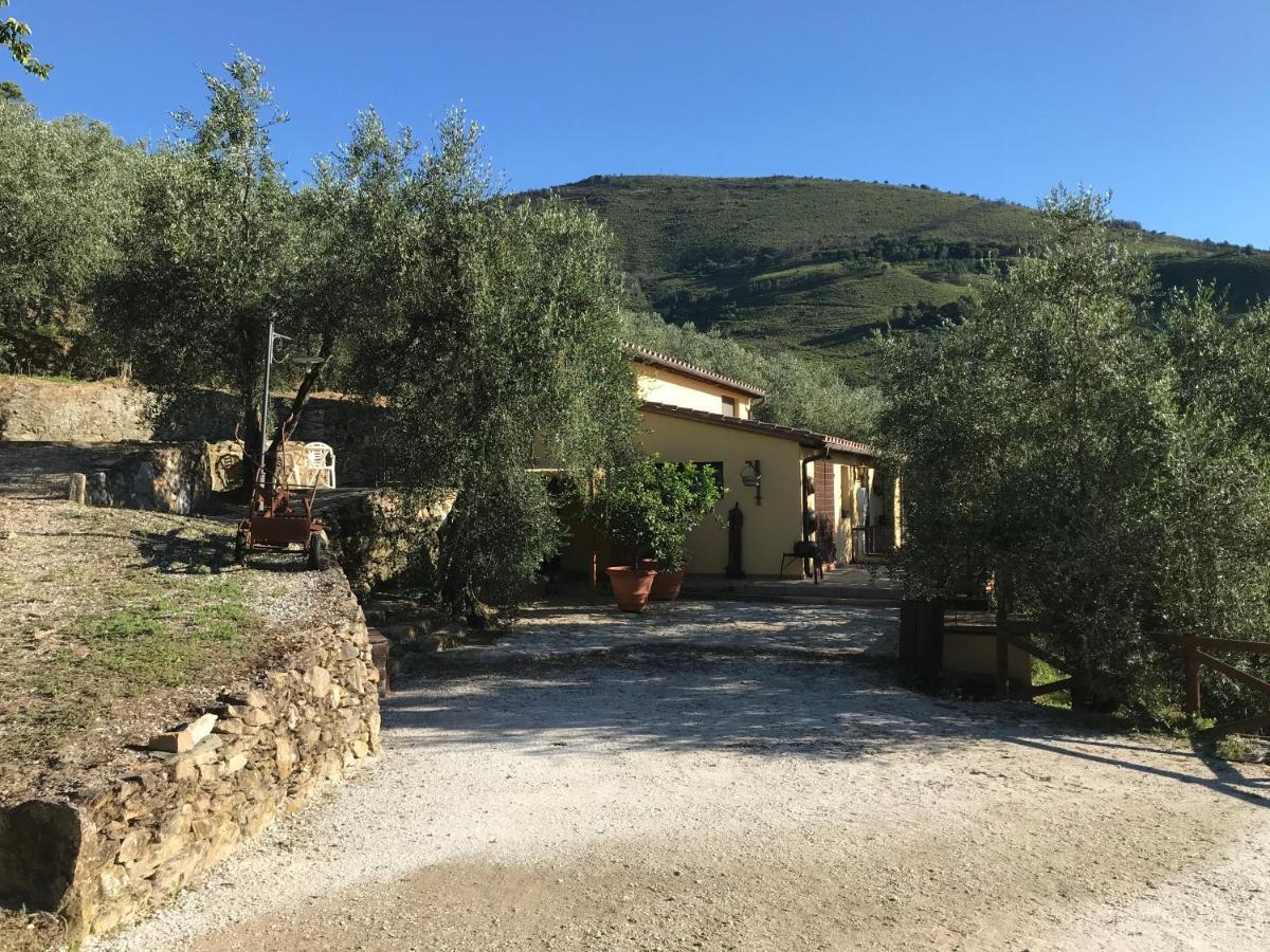Agriturismo Campo Dei Lupi Vicopisano Exterior photo