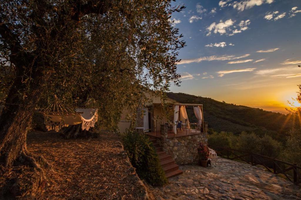 Agriturismo Campo Dei Lupi Vicopisano Exterior photo