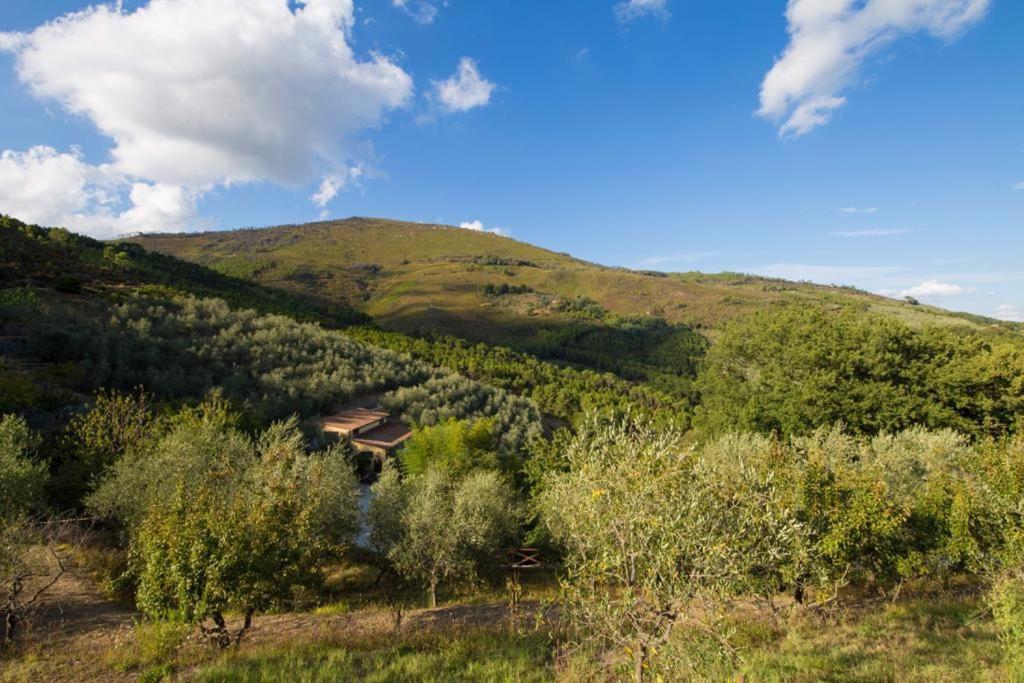 Agriturismo Campo Dei Lupi Vicopisano Exterior photo