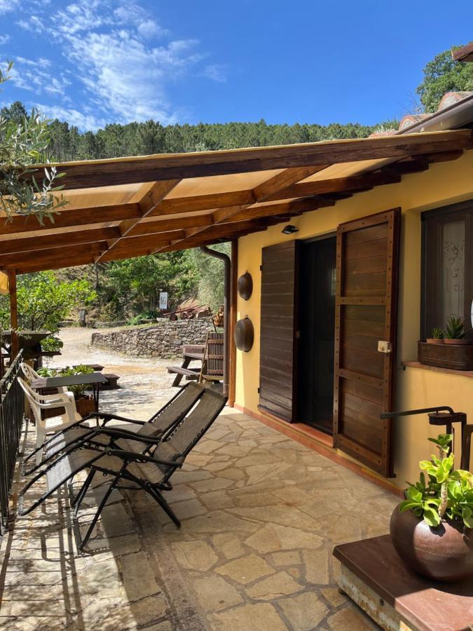 Agriturismo Campo Dei Lupi Vicopisano Exterior photo