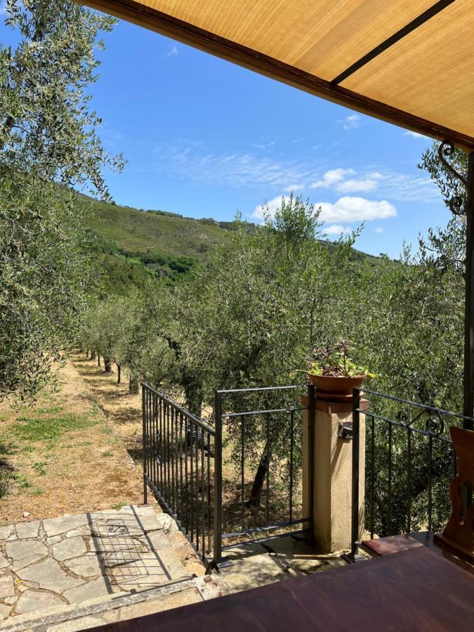 Agriturismo Campo Dei Lupi Vicopisano Exterior photo