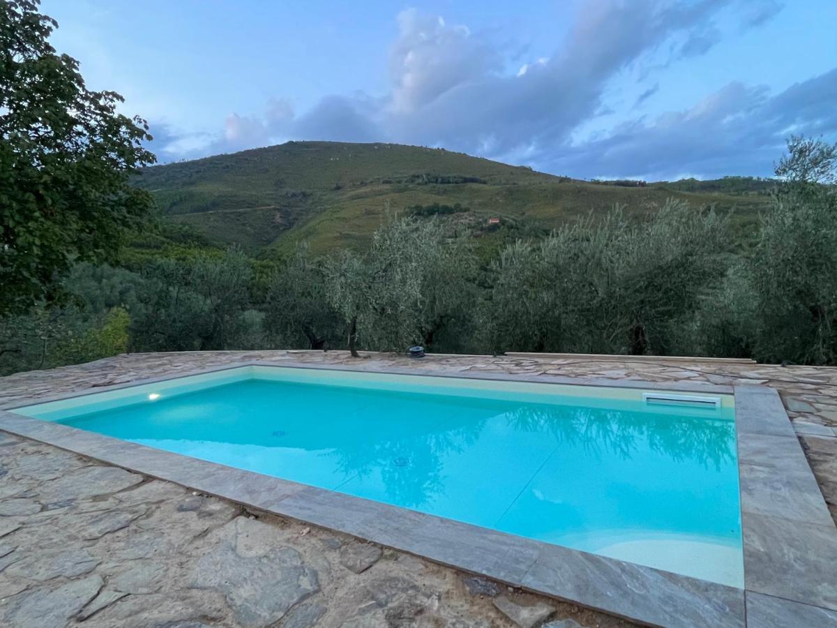 Agriturismo Campo Dei Lupi Vicopisano Exterior photo