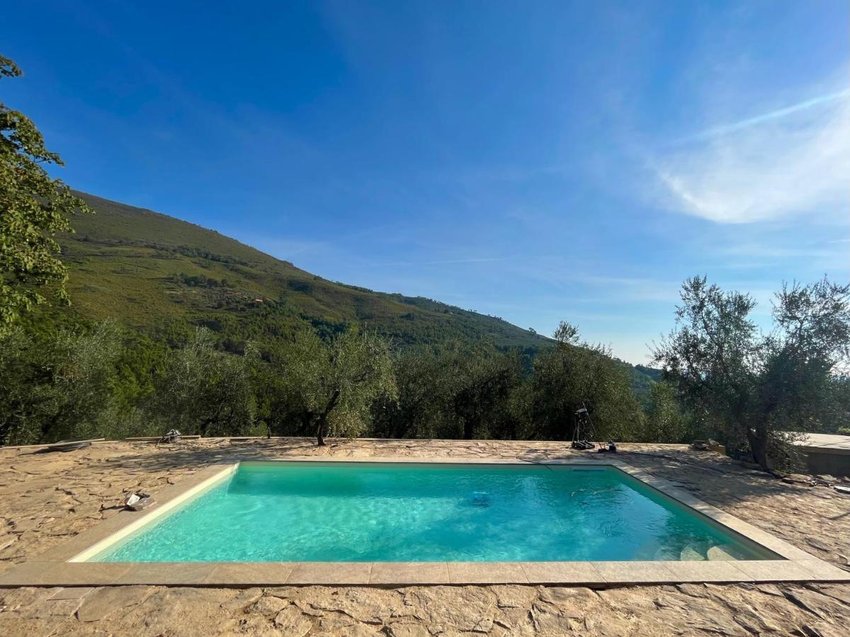 Agriturismo Campo Dei Lupi Vicopisano Exterior photo