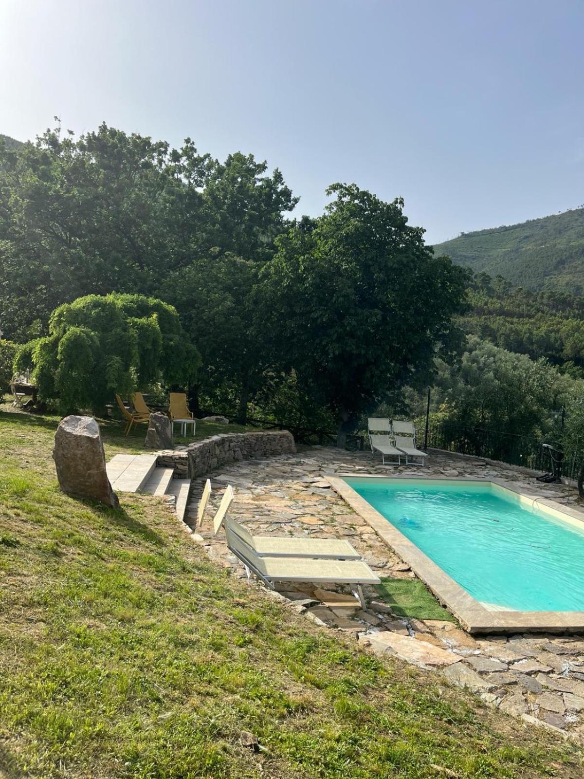 Agriturismo Campo Dei Lupi Vicopisano Exterior photo