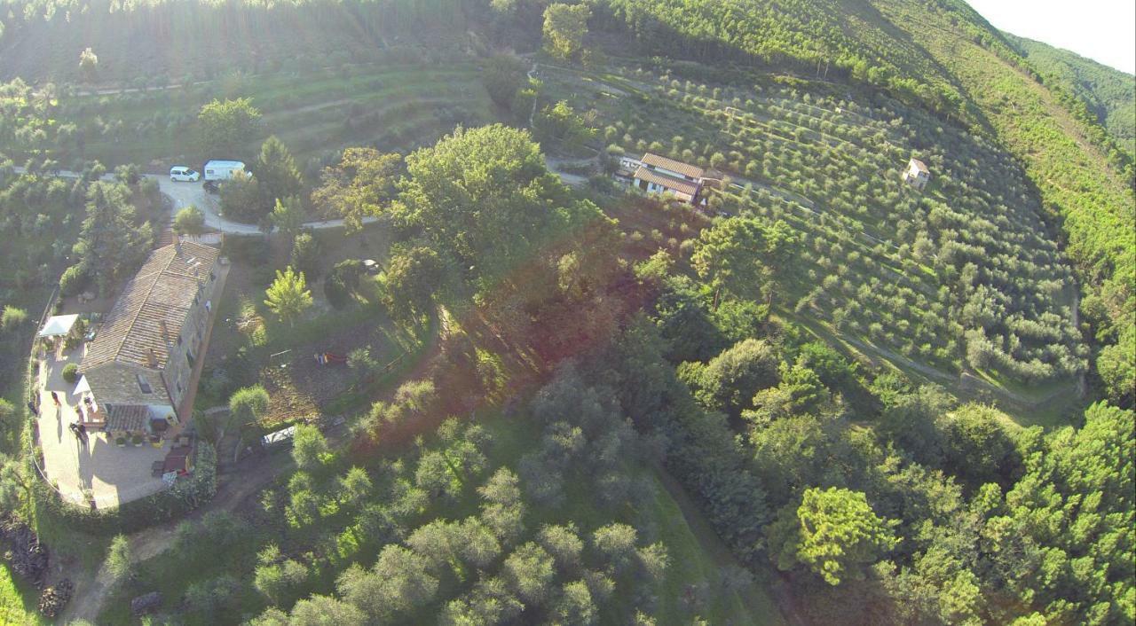 Agriturismo Campo Dei Lupi Vicopisano Exterior photo